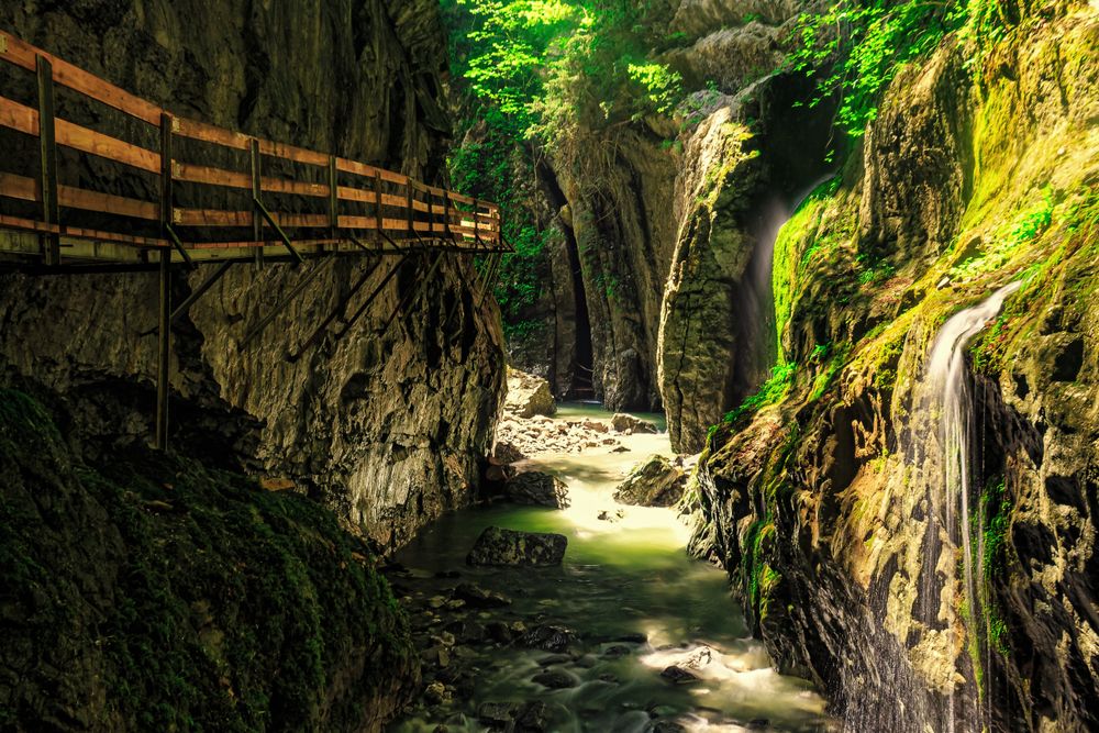 TOP 6 Schöne Wanderwege Am Bodensee | Tripz Reisemagazin